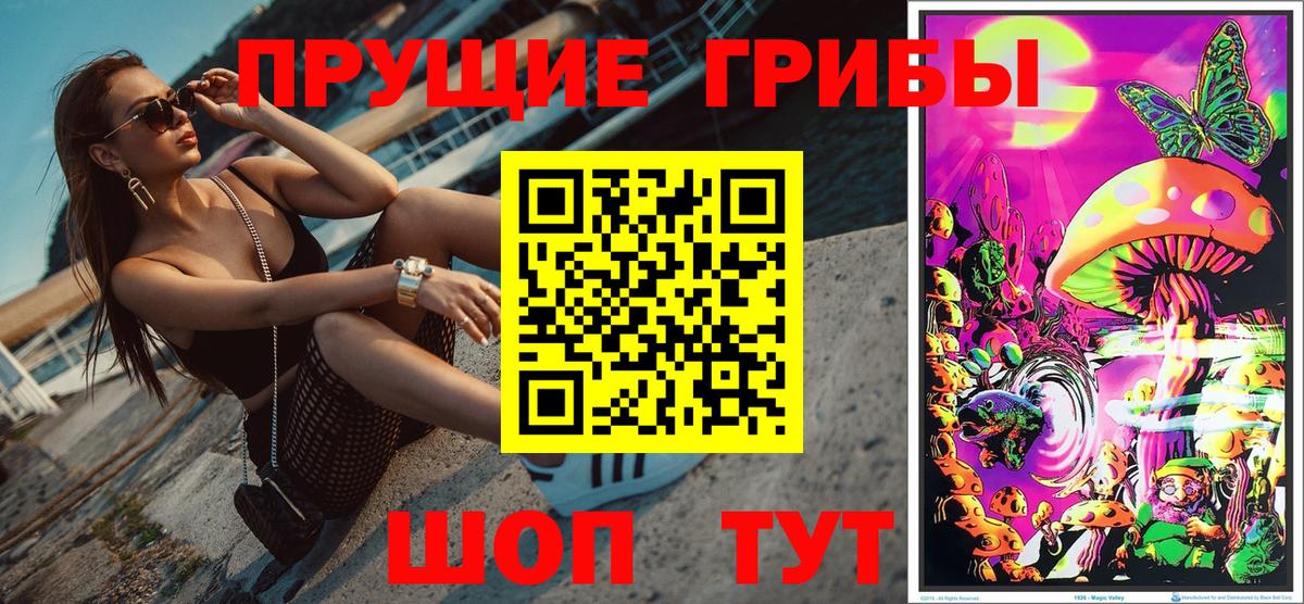 Галлюциногенные грибы Psilocybine cubensis Саров
